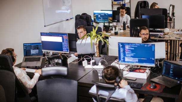 Empresas de informática en Colombia: Innovación y Transformación Digital 2 Perfil y experiencia de las empresas de informática en Colombia